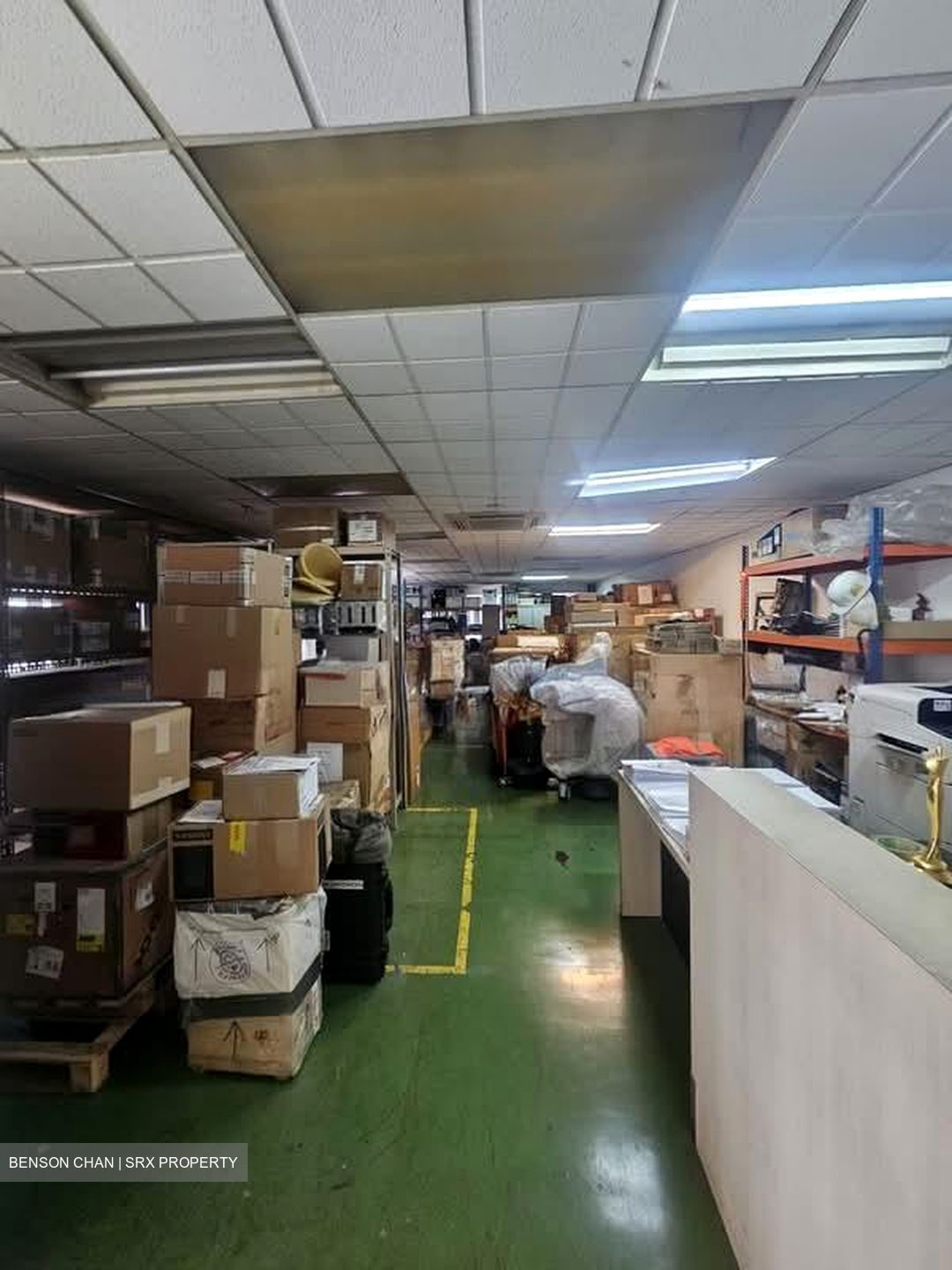 Perfect One (D13), Warehouse #567503901